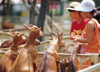 宮崎市フェニックス自然動物園